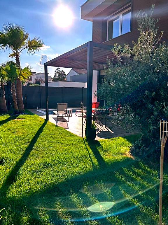 Prato del giardino con palma e pergola sullo sfondo